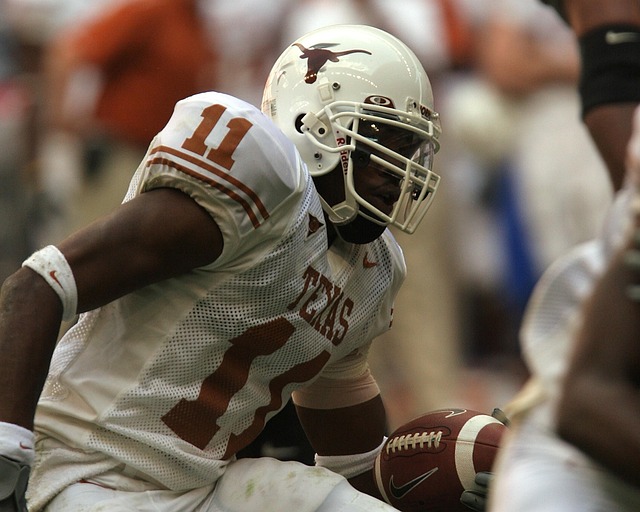 和内耳系统 和内耳系统